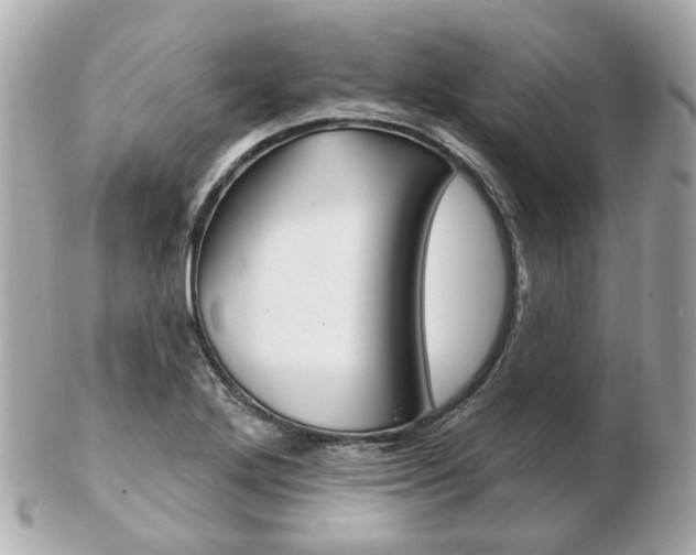 X0000103281272200808291037