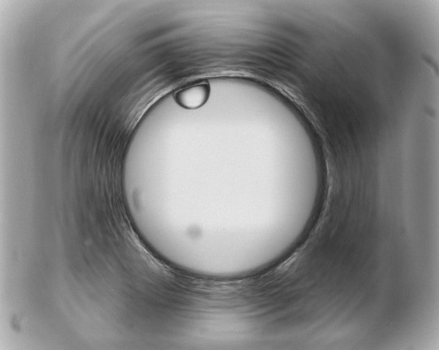 X0000103281273200808291037