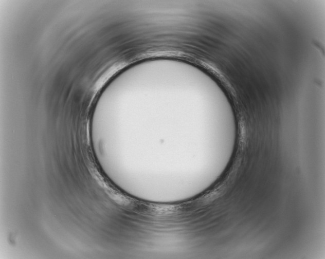 X0000103281274200808291037