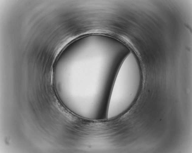 X0000103281276200808291037