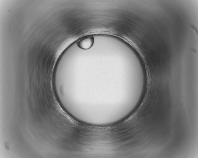 X0000103281277200808291037