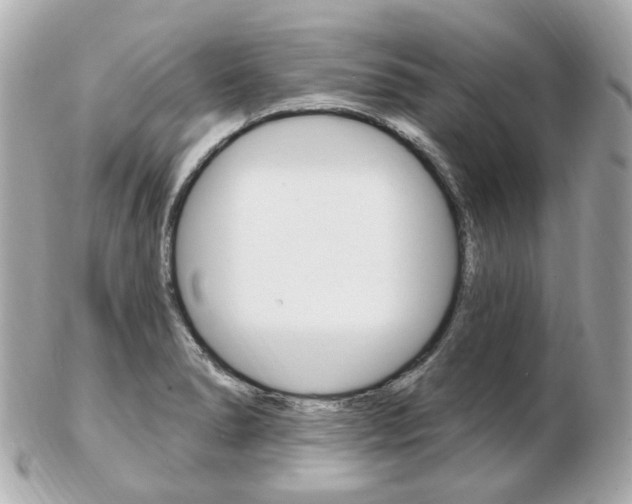 X0000103281278200808291037