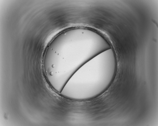X0000103281279200808291037