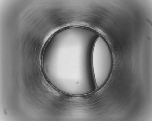 X0000103281280200808291037