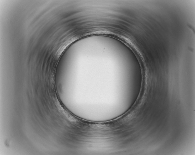 X0000103281281200808291037