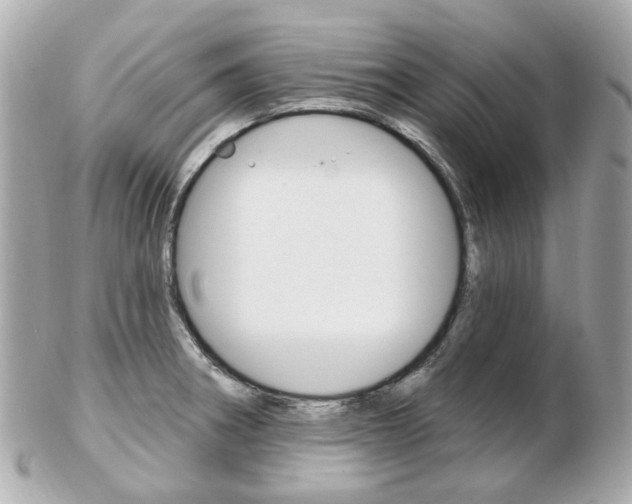 X0000103281282200808291037