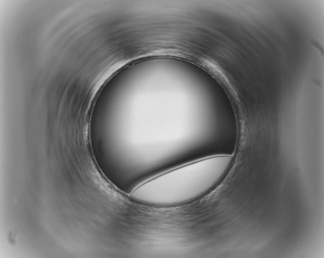 X0000103281284200808291037