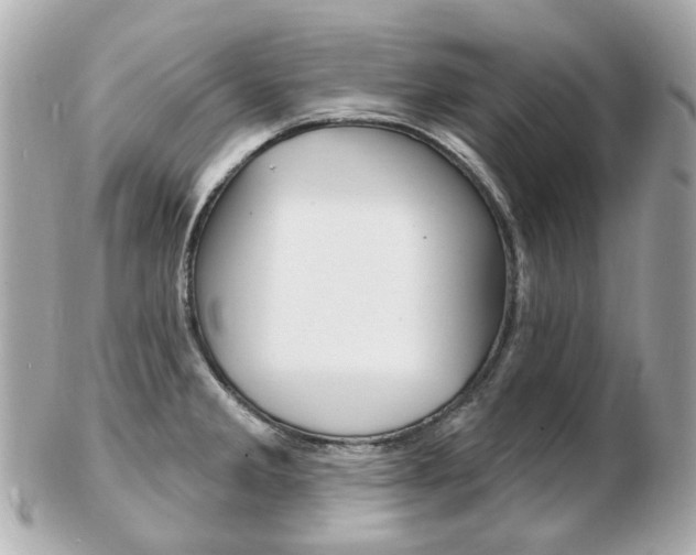 X0000103281285200808291037