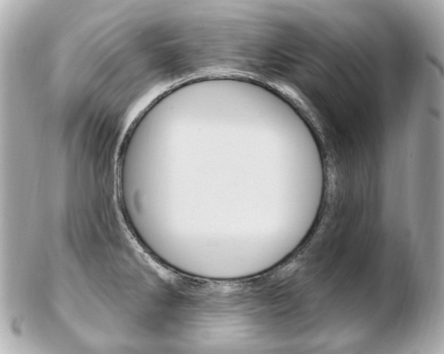 X0000103281286200808291037