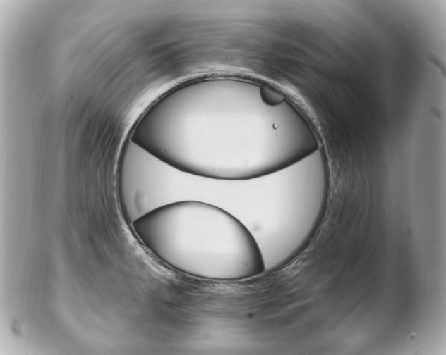 X0000103281287200808291037
