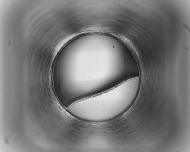 X0000103281288200808291037