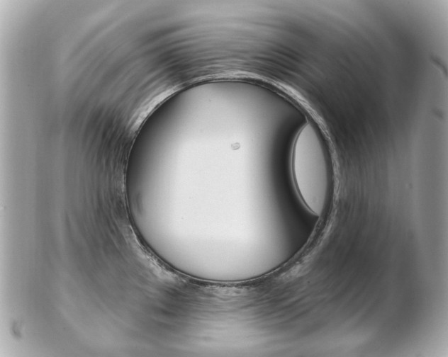 X0000103281289200808291037