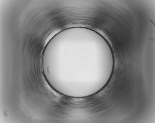 X0000103281290200808291037