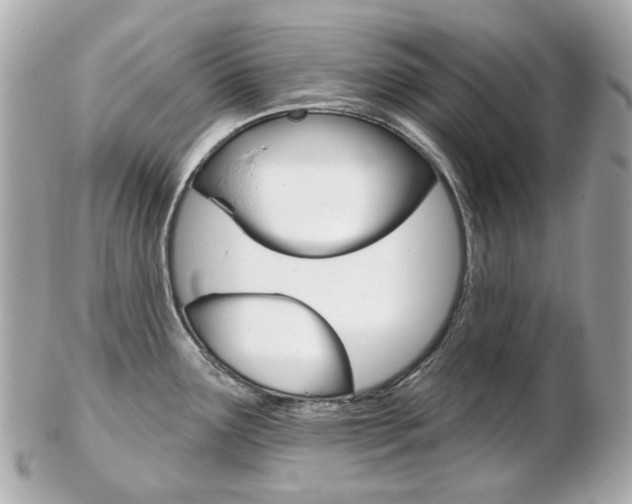 X0000103281291200808291037