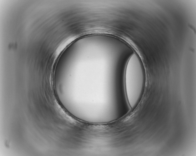 X0000103281293200808291037