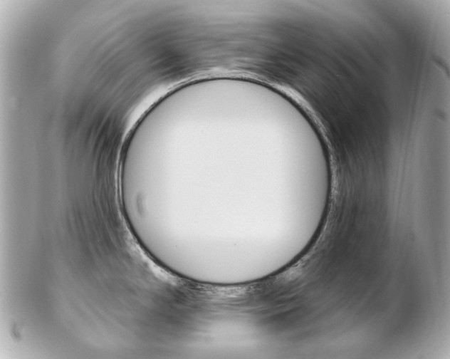 X0000103281294200808291037