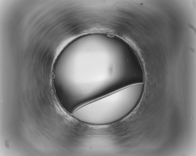 X0000103281296200808291037