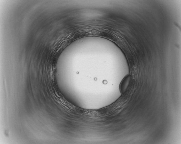X0000103281298200808291036
