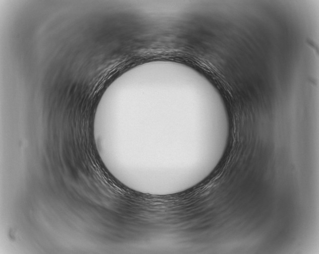 X0000103281300200808291036