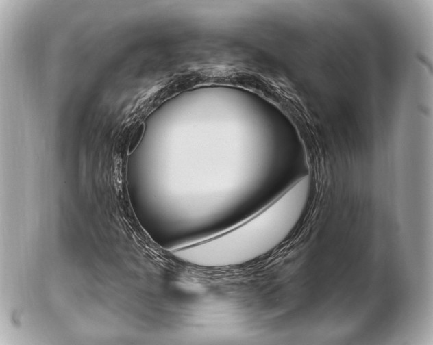 X0000103281301200808291037
