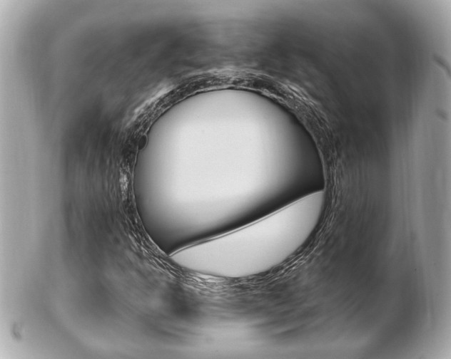 X0000103281302200808291037
