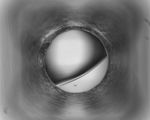 X0000103281303200808291037