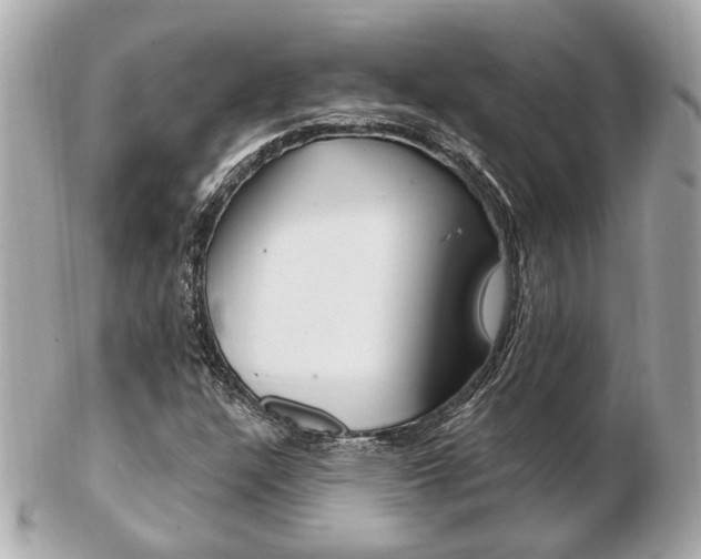 X0000103281304200808291037