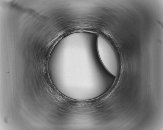 X0000103281305200808291037