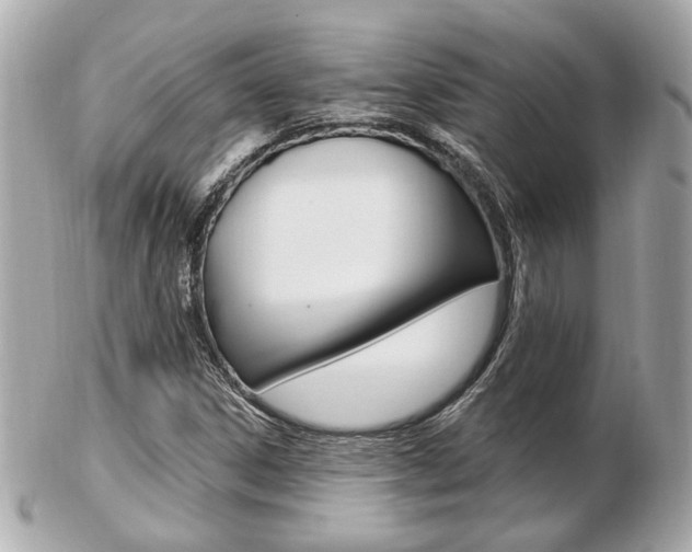 X0000103281306200808291037