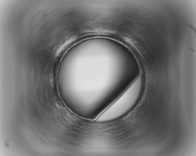 X0000103281307200808291037