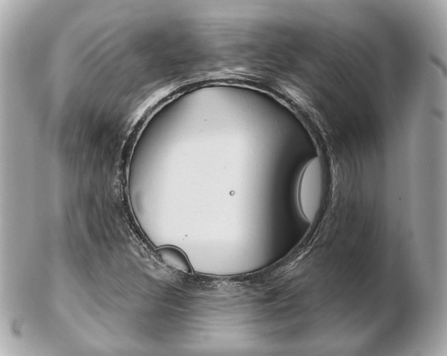 X0000103281308200808291037