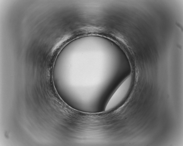 X0000103281309200808291037