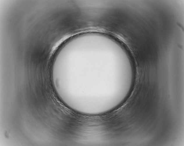 X0000103281310200808291037