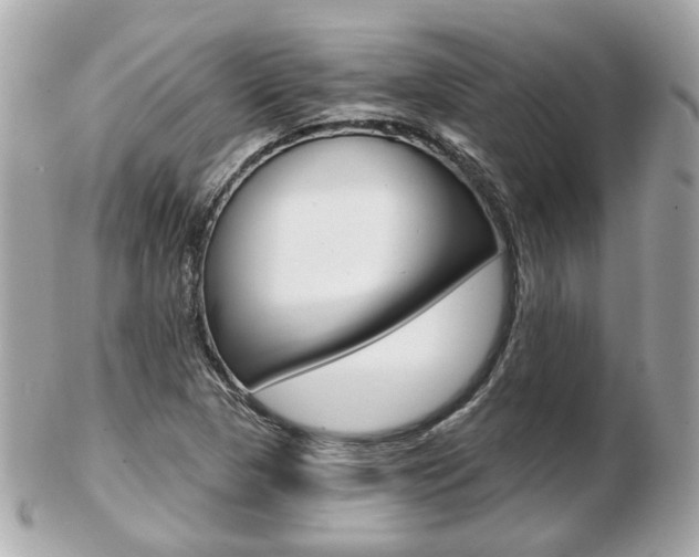 X0000103281313200808291037