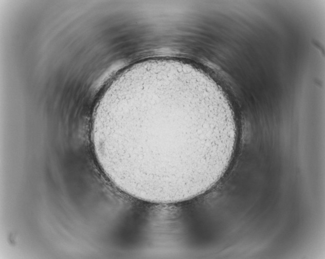 X0000103281314200808291037