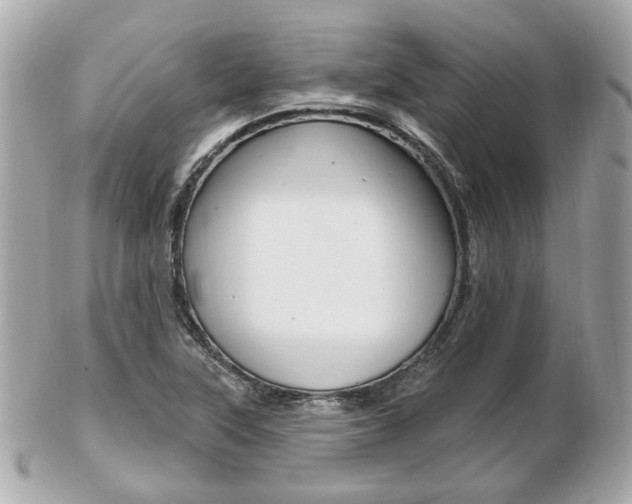 X0000103281315200808291037