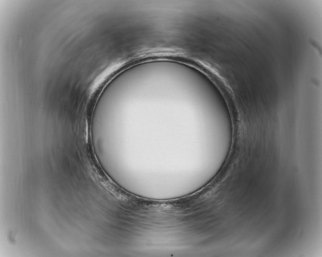 X0000103281317200808291037