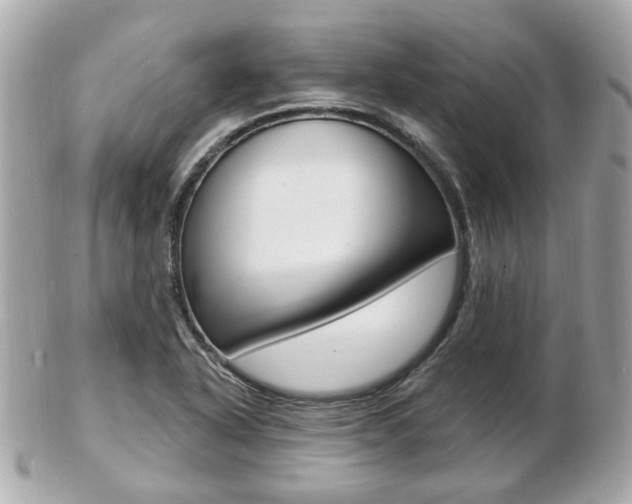 X0000103281318200808291037