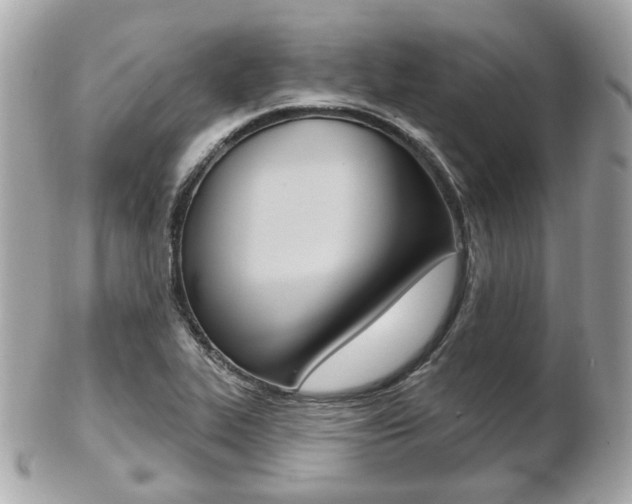 X0000103281319200808291037