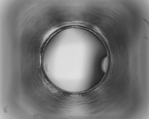 X0000103281320200808291037