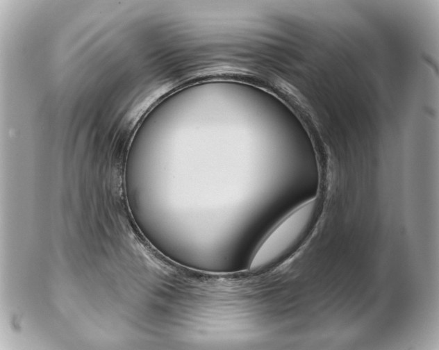 X0000103281321200808291037