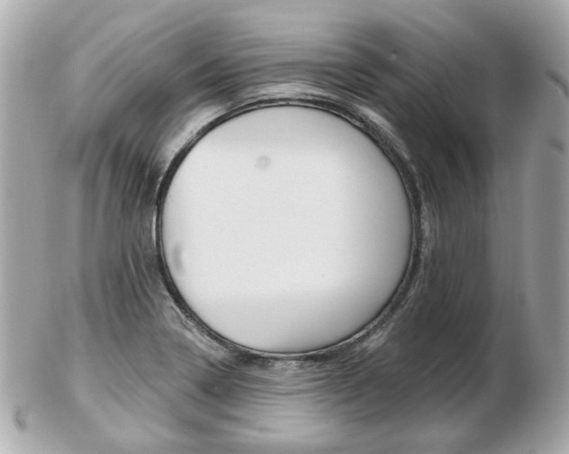 X0000103281322200808291037