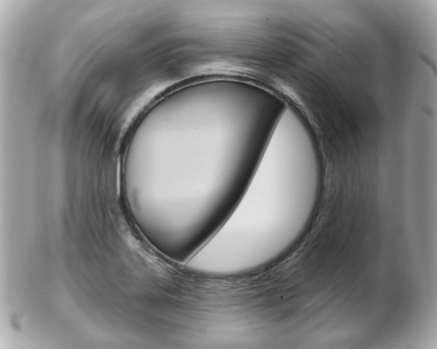 X0000103281323200808291037