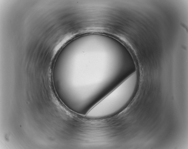 X0000103281325200808291037