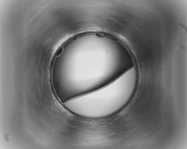 X0000103281326200808291037