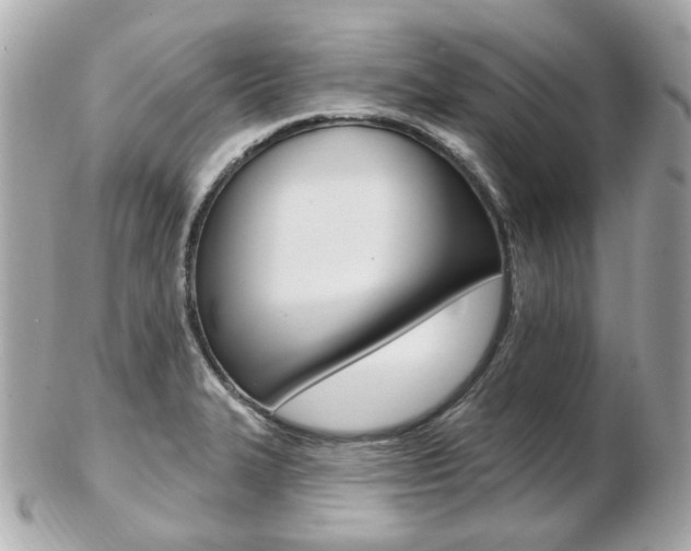 X0000103281327200808291037