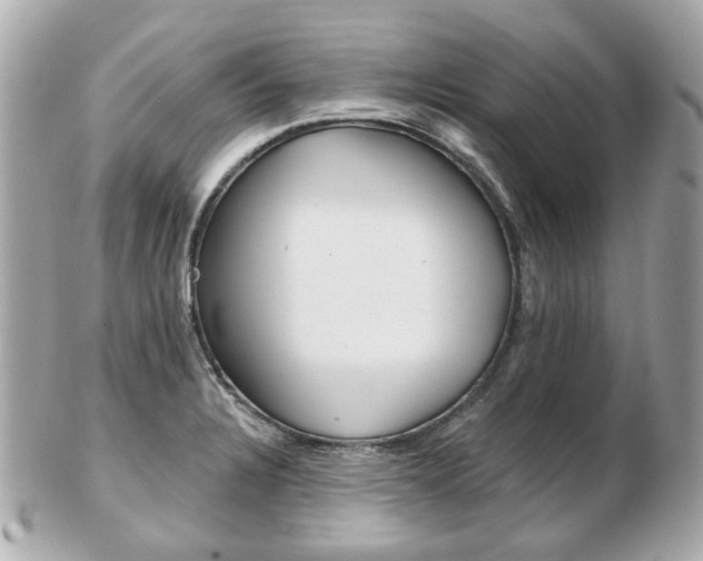X0000103281328200808291037