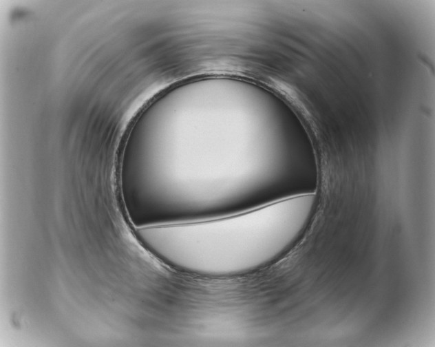 X0000103281331200808291037