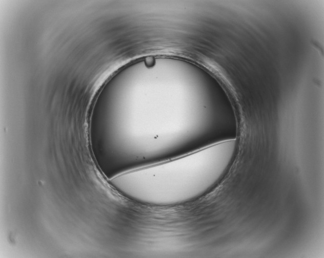 X0000103281332200808291037