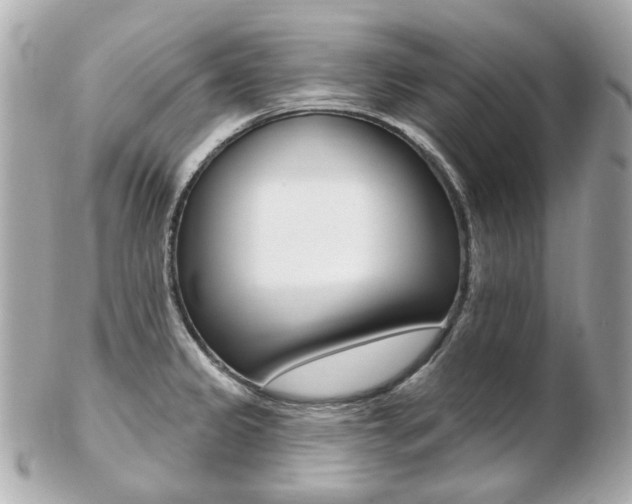 X0000103281333200808291037